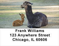 Llama Address Labels