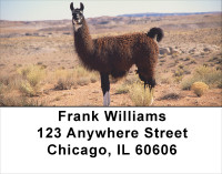 Llama Address Labels | LBANJ-38