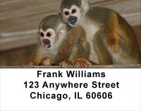 Monkey Business Address Labels | LBANJ-43