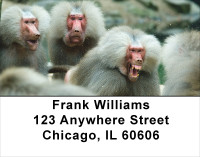 Monkey Days Address Labels | LBANJ-44
