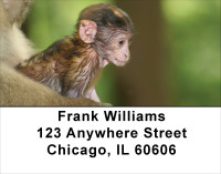 Baby Monkeys Address Labels | LBANJ-47