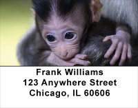 Baby Monkeys Address Labels | LBANJ-47