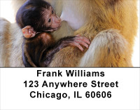 Baby Monkeys Address Labels | LBANJ-47