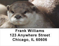 Otter Address Labels | LBANJ-49