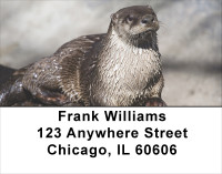 Otter Address Labels | LBANJ-49