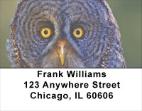 Wise Old Owls Address Labels | LBANJ-50
