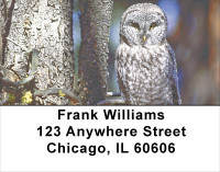 Wise Old Owls Address Labels | LBANJ-50