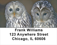 Wise Old Owls Address Labels | LBANJ-50