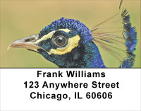 Peacock Plumes Address Labels | LBANJ-52