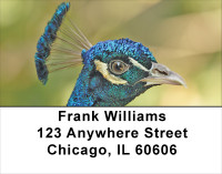 Peacock Parade Address Labels