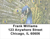 Flaunt It Address Labels | LBANJ-54