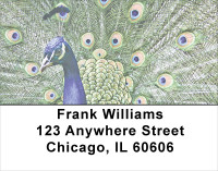 Flaunt It Address Labels | LBANJ-54