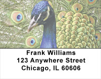 Flaunt It Address Labels | LBANJ-54