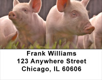 More Pig Address Labels | LBANJ-58
