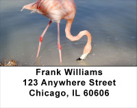 Pink Flamingo Address Labels | LBANJ-59