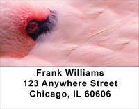 Pink Flamingo Address Labels | LBANJ-59