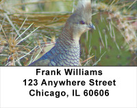 Quail Closeups Address Labels | LBANJ-60