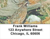 Quail Closeups Address Labels | LBANJ-60