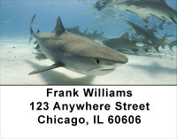 Jaws Address Labels | LBANJ-63