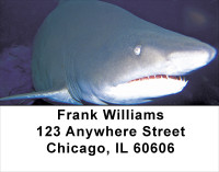 Jaws Address Labels | LBANJ-63