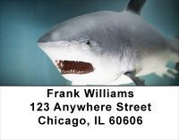 Jaws Address Labels | LBANJ-63