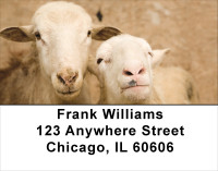 Counting Sheep Address Labels | LBANJ-65