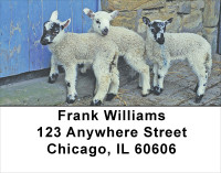 Lambs Address Labels