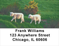 Lambs Address Labels | LBANJ-67