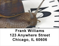 Slow Down Time Address Labels | LBANJ-70