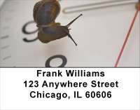 Slow Down Time Address Labels | LBANJ-70