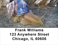 Snails On Parade Address Labels