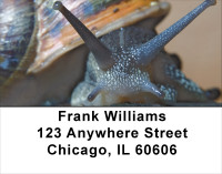 Snails On Parade Address Labels | LBANJ-71