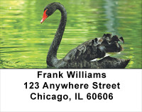 Black Swan Address Labels | LBANJ-76