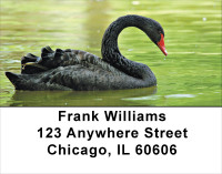 Black Swan Address Labels | LBANJ-76