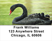 Black Swan Address Labels | LBANJ-76