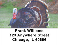 Turkey Treasures Address Labels | LBANJ-82