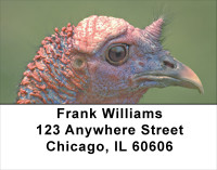 Turkey Treasures Address Labels | LBANJ-82