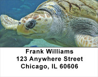 Swimming Sea Turtles Address Labels | LBANJ-85
