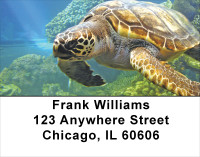Swimming Sea Turtles Address Labels | LBANJ-85