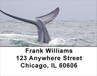 Whale Of A Tail Address Labels | LBANJ-88