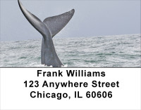 Whale Of A Tail Address Labels | LBANJ-88