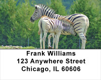 Zebra & Babies Address Labels | LBANJ-90
