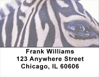 Zebra Eye To Eye Address Labels | LBANJ-91