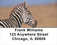 Zebra In Wild Address Labels | LBANJ-92