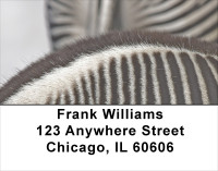 Zebra Prints Address Labels