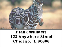 Zebra Safari Address Labels | LBANJ-94
