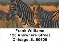 Zebras At Sunset Address Labels