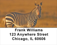 Zebras At Sunset Address Labels | LBANJ-95