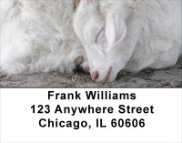 Sleeping Animals Address Labels | LBANJ-96