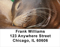 Sleeping Animals Address Labels | LBANJ-96
